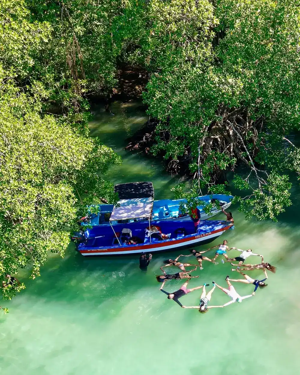 Grupo del tour flotando en círculo en el manglar, visto desde arriba